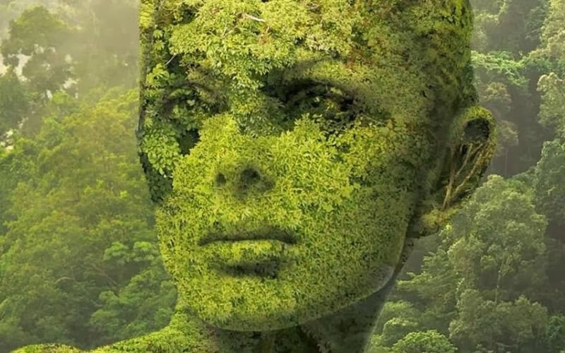 Close-up of a moss-covered stone face sculpture in a forest setting.